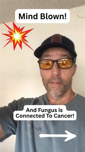 Justin | Natural Cures | Longevity | Holistic Health on Instagram: "You won’t believe what they discovered when they put mold under a faraday cage. A Swiss physician, one of Europe’s top mold researchers, decided to test a simple but powerful question: Does electromagnetic radiation affect how toxic mold becomes? He grew mold cultures under a Faraday cage (basically a silver-coated fabric that blocks EMFs). Then he measured how much toxin these molds produced each day. When the cage was lifted a