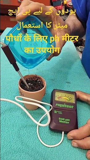 Why Soil pH Matters: How to Test Your Garden Soil with a pH Meter