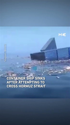 Container ship sinks after suffering damage attempting to cross Hormuz Strait