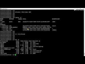 How to Assign Disk Label to a Partition | How to Mount Partition Using Disk Label | lsblk Command