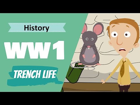 WW1 - Trench Life and The End of War (6th Class History Lesson)