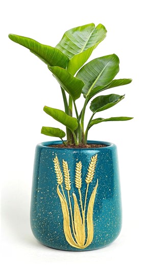 104K views · 2.4K reactions | Pottery making || Cement flower vase - Cement planter Making Cement pottery making || Cement flower vase - Tree pot Making -- Materials :-- 1. White Cement + Plaster of paris (1:1) 2. Acrylic color 3. Clear varnish #RoomDecor #Flowervase #Pottery #treepot #diy #RoomDecor #pottery #crafts #amazing | Kuti Bari | Facebook