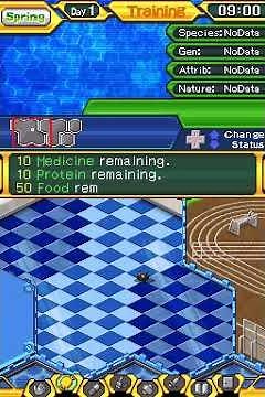 Digimon World Championship Gameplay (Nintendo DS)