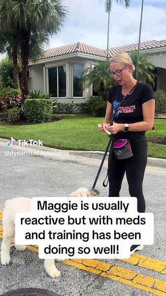 #fyp #dogtrainer #dogtraining #dogtrainingmadesimple