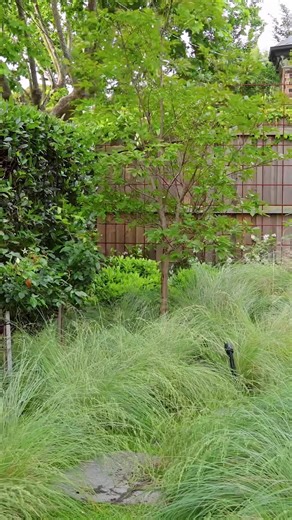 Welcome to our recently completed Kew garden, a harmonious blend of classic and modern elements that create a beautiful, functional, and timeless garden. From lush green hedges to whimsical Poa 'Eskdale' and structured Buxus spheres, the planting palette for this garden is simple yet effective. At only three years old, this garden has already begun achieving its design intent, and we can't wait to watch it grow! 🙌 #landscapedesign #gardendesign #landscapeconstruction #ianbarkergardens