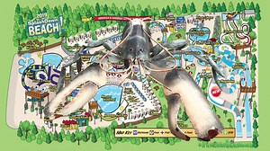 1.8K views · 21 reactions | Congratulations to Shannon from Hopewell Junction, NY. She is this week's winner of a 4 pack of day passes for the 2019 season. Watch the video for the correct answer and tune in next week for another chance to win. | SplashDown Beach | Facebook