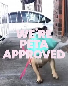 487 reactions · 27 shares | Tan darker and faster than ever before and ditch your fake tan!☀️ Add sun to activate results! ⚡️ ✨ Active and exclusive ingredients  Vegan & cruelty-free ✈ Worldwide shipping | The Fox Tan | Facebook