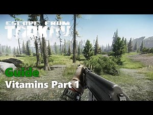 Tarkov - Vitamins Part 1 Guide