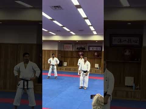 Arimoto-sensei performing kata Wankan #空手道 #karate #wankan #shotokan #空手 #vlog #kata