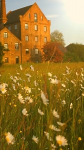 English Songs Videos: Download 556+ Free 4K & HD Stock Footage Clips - Pixabay