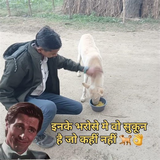 "There is that peace in trusting them which is not found anywhere else👌🐕" #shorts #trending #shar...