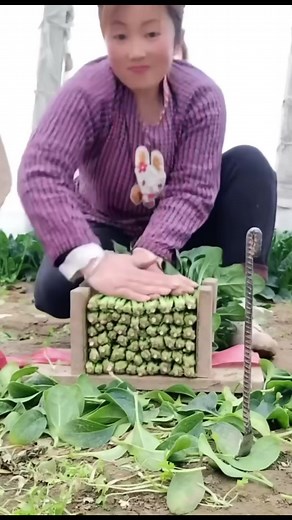 农民的智能工具! | 农牧世界 Agroworld