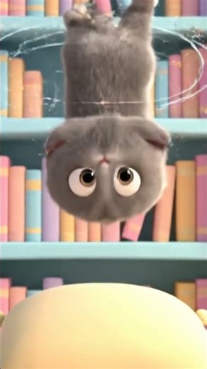 Cat falls off the bookshelf! #shorts #cat #funny #shortvideo #cute