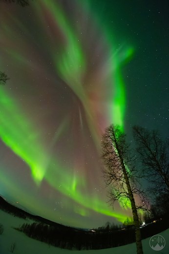 19K views · 2K reactions | Incredible aurora dance right above us  | Night Lights Films | Facebook