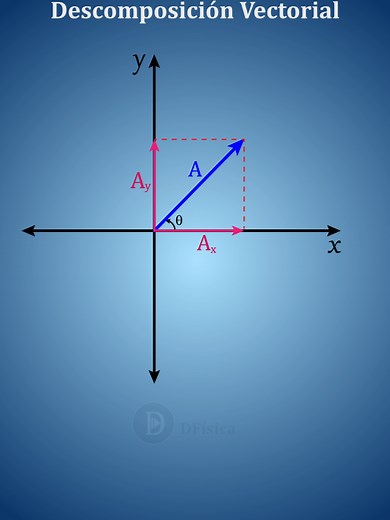 DFisica on TikTok