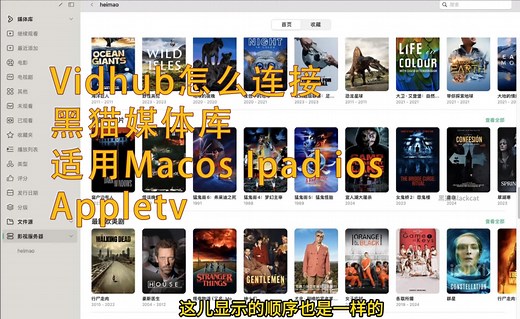 【苹果设备同步】Vidhub如何连接Emby媒体库？适配MacOS/iPadOS/AppletvOS/苹果手机！