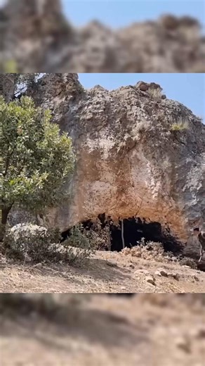 I turned the amazing rock cave into a cozy and safe haven #bushcraft #build #camp #camping #survival #shelter | Survival Life