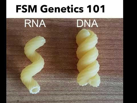 Meme Compilation- Funny Biology Memes (part 1)| Only biology students will understand| 2021