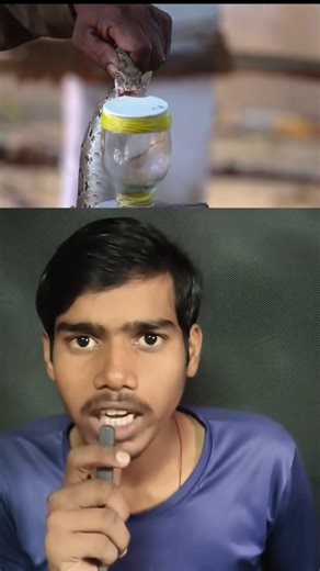 🔥 “Have You Ever Wondered What Would #facts #factvideo #hindifacts #viral