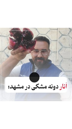 ‎بازرگانی برادران جنتی | تره‌بار | میوه‎ on Instagram‎: "مشهدی‌ها آماده باشید! 🔥 بار مشکی کبود اصل، انار زغالی دونه مشکی، بار《 بی‌باک》 هر دونه‌اش خاص، هر پک‌اش ناب،نوش جان کنید و لذت ببرید،😍 بازرگانی بزرگ برادران جنتی🍊🍎 اگر از اکسپلـ..ـور میاین خوشحال میشم پیج رو فالـ..ـو کنید🙏💎 ‌ خدایا شکرت🙏 #کاسبی #میدون_تره_بار #کسب_کار #مشهد #انار"‎