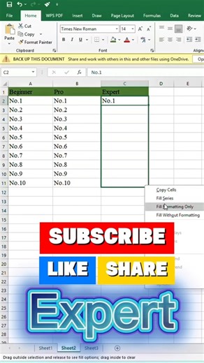 Enter Numbers in Excel Like a Beginner, Pro & Expert | Smart Data Entry Tips | Digital Office Skill