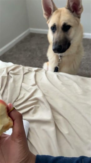 Just let me do my homework and eat my apple in peace