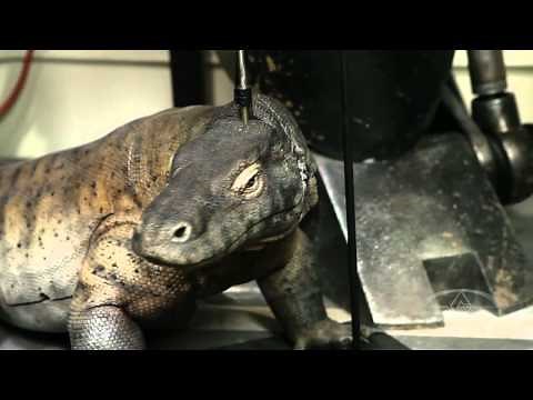 How to Make a Monster Puppet - Rods & Cables - PREVIEW