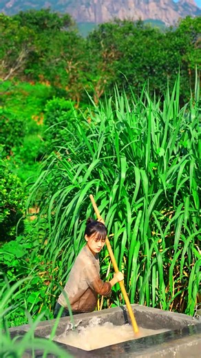 As Light as Wings, As Strong as Silk — The Art of Ancient Papermaking! 📜🎎 #handmade #handcrafted #craftsmanship #fblifestyle | Unseen World