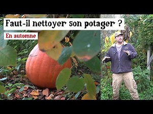 How to maintain the vegetable garden in autumn without damaging the soil