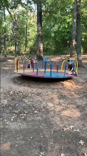 Vintage Merry-go-Round