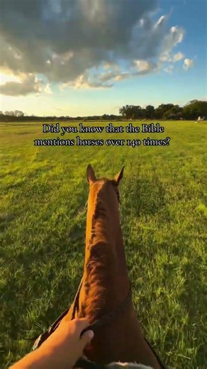 140 times mentioned in the bible #horse