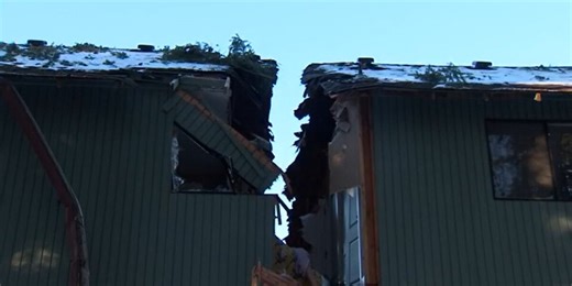 Fallen tree splits house in half during storm