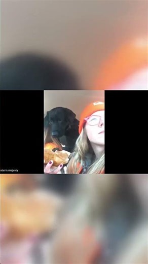 This dog’s sandwich debate is legendary. 🤣