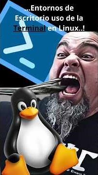 #desktopenvironments using the #terminal in #Linux