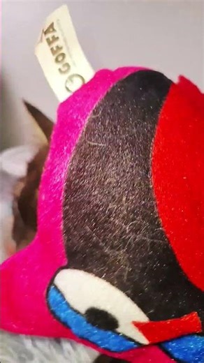 what drugs? #cat #cute #lifeisbutadream #funnyimages #memes #funny #funnymemes #comedy