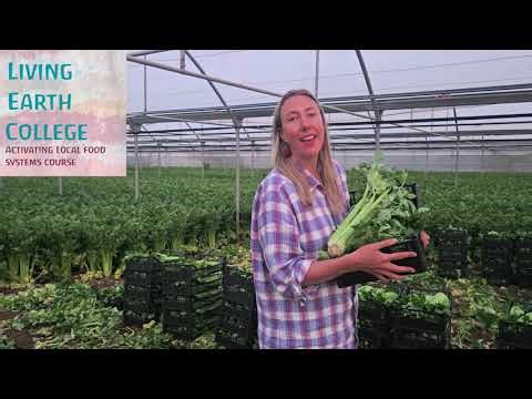 Activating Local Food Policy - Living Earth College