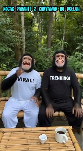 KOCAK PARAH!! DUA MONYET HITAM BERBAJU VIRAL & TRENDING MENGELUH🤣🔥