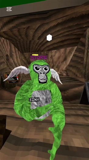 My camera mod is broken.#shorts#viralshorts#gorillatag