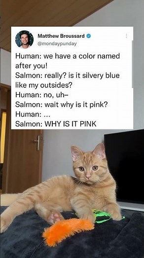 Human: 'We Have a Color Named After You!'... Salmon: 😐