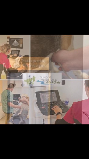 5.6K views · 63 reactions | Un petit saut par ici pour votre partager...