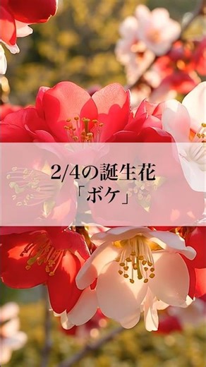 ゴッホが描いた春を告げる花「ボケ」🌸2月4日の誕生花 #雑学 #shorts