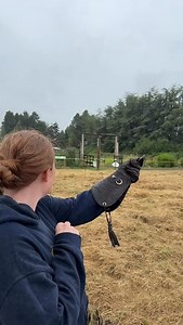 ✨ Exciting and rare opportunity- join next week’s Falconry Course! ✨ Looking for something to do Monday-Friday next week? Our highly popular Weeklong Falconry Course has room for another participant! This course is typically sold out quickly, but we had a spot open up- message us if you’d like to claim this last seat! 🦅 Our Falconry Course covers legislation, health and nutrition, equipment, care and housing, training, and a variety of other topics focused towards folks interested in falconry.