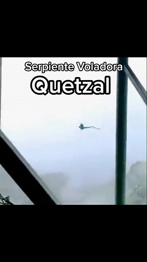 El Vuelo Elegante del Quetzal: La Serpiente Emplumada