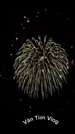 Pháo trứng 8i siêu đẹp đẳng cấp ( Văn Tiến Vlog ) #happynewyear #fireworks #memes