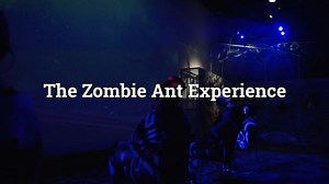 The Zombie Ant Experience | SciArt