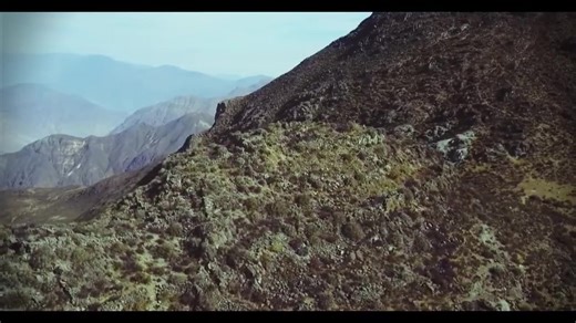 243K views · 6.2K reactions | CONOCE EL ÚLTIMO REFUGIO DEL GUANACO, LA RESERVA NACIONAL DE CALIPUY UBICADA EN EL CENTRO POBLADO DE CALIPUY A través del presente documental buscamos que puedas conocer la grandeza turística, en arqueología, recurso paisaje, flora y fauna. Visita Calipuy, un pueblo andino lleno de costumbres y tradiciones ancestrales, en el cual sus pobladores esperan con mucho anhelo su pronta elevación como distrito de Santiago de Chuco. | Kadena Noticias | Facebook