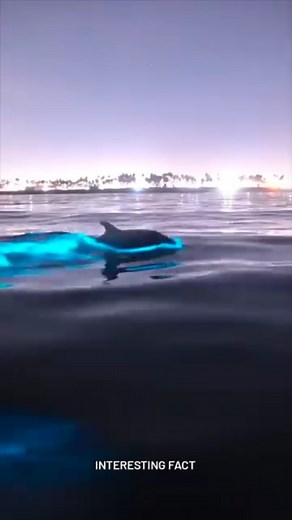 #trending #viral #reels #instagram #interestingfacts #humanbody #humanbody #interestingfacts | Interesting fact