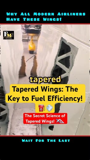 Why All Modern Airliners Have These Wings! #shorts #facts #trending #usa
