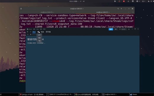 ubuntu(linux)使用steam玩游戏