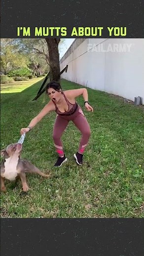 Training dogs isn't for the weak 🐶😭